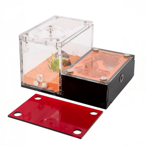 Ultisol I ant nest with sand chambers and clear acrylic outworld