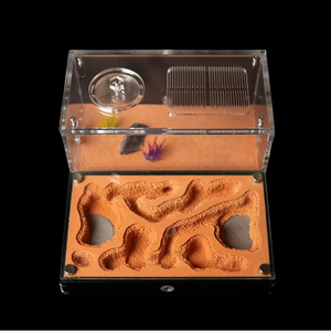 Ultisol II ant nest with sand chambers and clear acrylic outworld