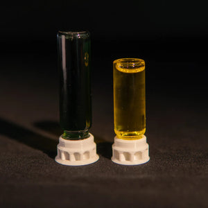 Lasius flavus nectar food for ants in a bottle