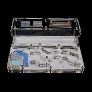Clear acrylic ant nest with white chambers and red base