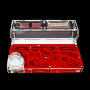 Clear acrylic ant nest with white chambers and red base