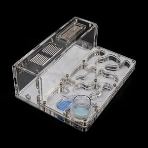 Clear acrylic ant nest with white chambers and red base