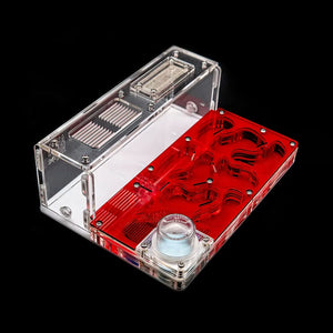 Clear acrylic ant nest with white chambers and red base