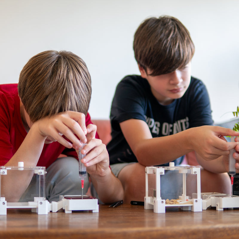 Children learning about ants at a hands-on workshop