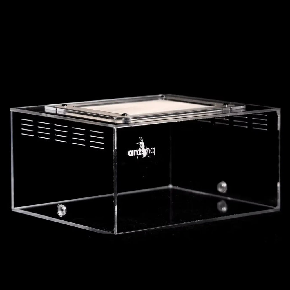 eXplorer II acrylic ant outworld with black ventilation panels