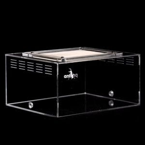 eXplorer II acrylic ant outworld with black ventilation panels