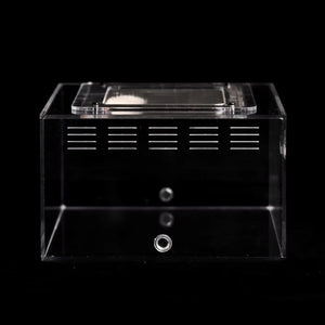 eXplorer II acrylic ant outworld with black ventilation panels