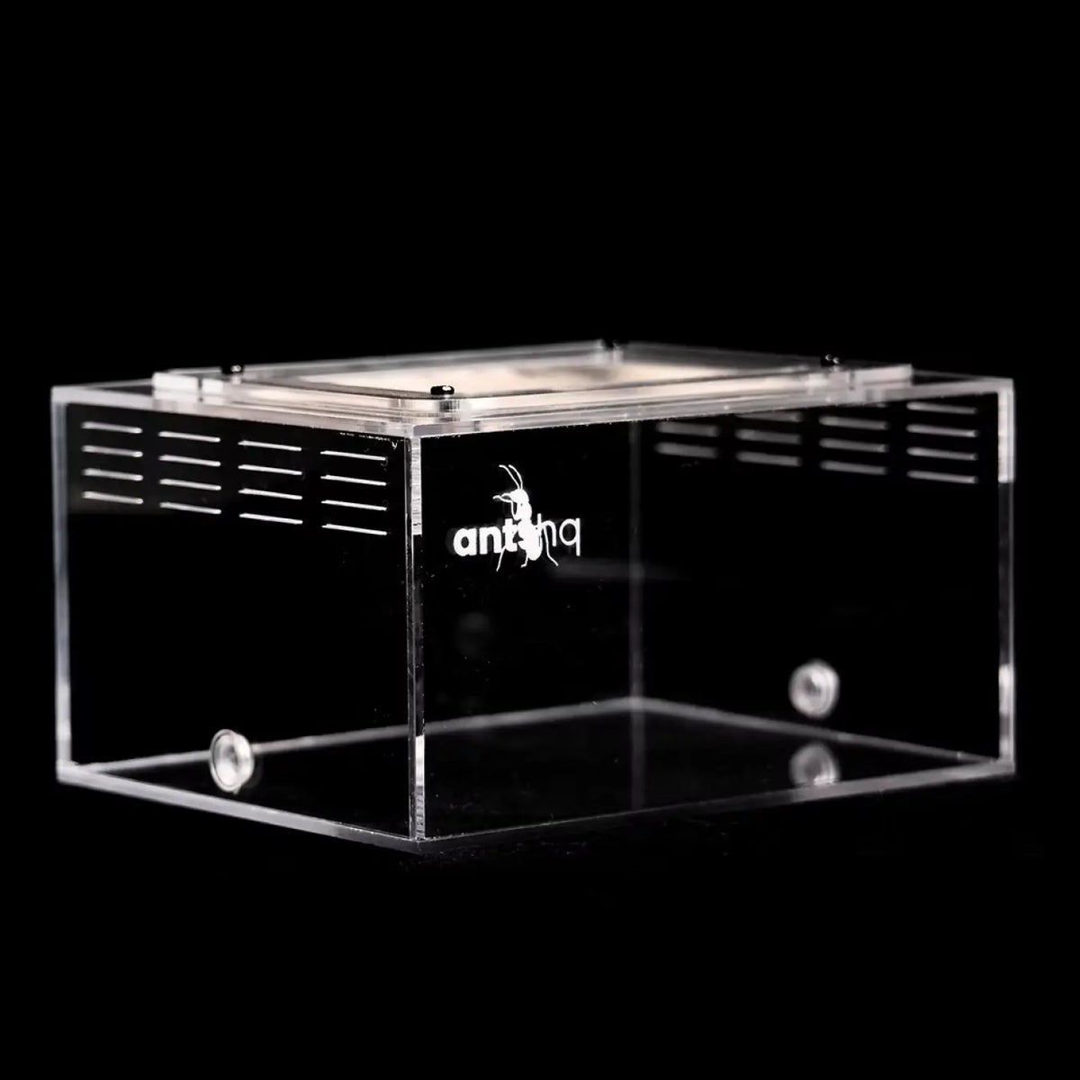 eXplorer II acrylic ant outworld with black ventilation panels