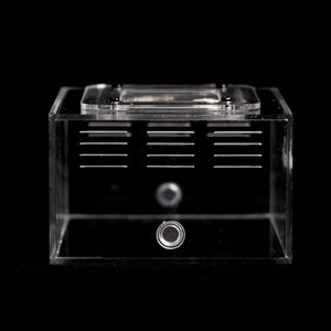 eXplorer II acrylic ant outworld with black ventilation panels