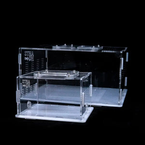 eXplorer I acrylic ant outworld with clear panels
