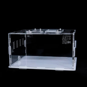 eXplorer I acrylic ant outworld with clear panels
