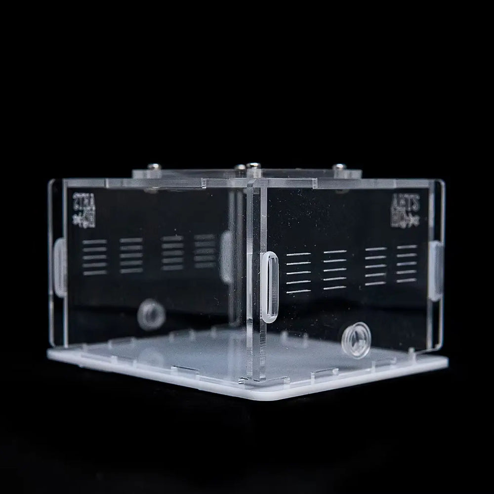 eXplorer I acrylic ant outworld with clear panels