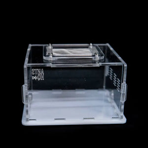 eXplorer I acrylic ant outworld with clear panels