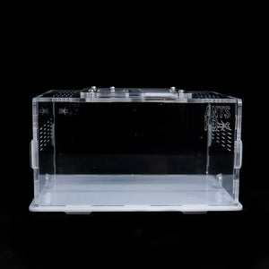 eXplorer I acrylic ant outworld with clear panels