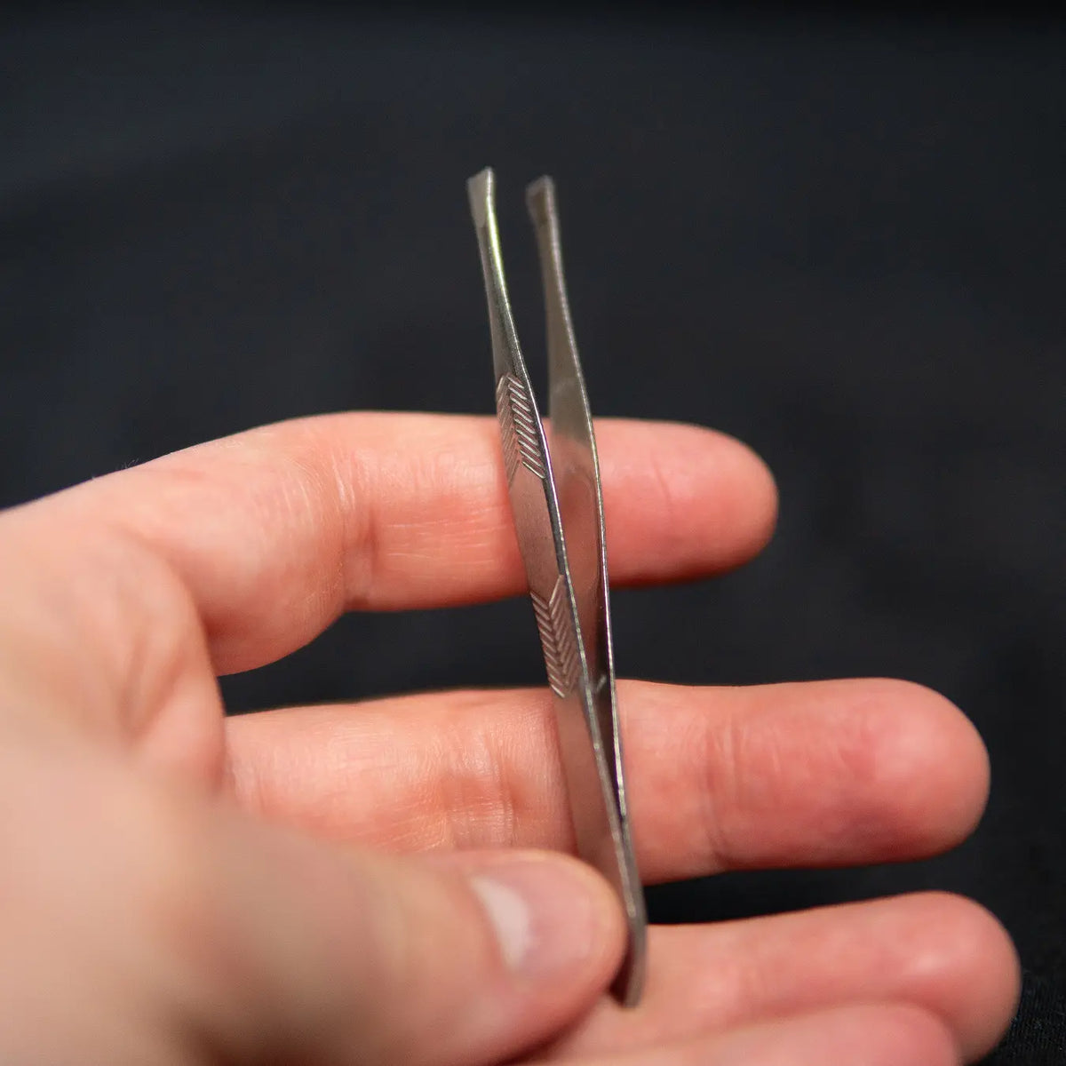 Fine forceps handling a small ant-keeping accessory