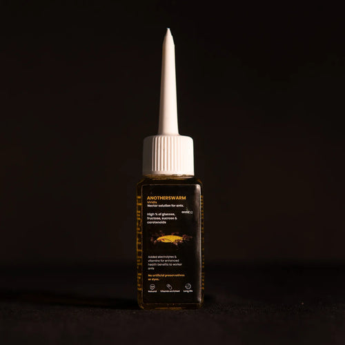 Lasius flavus nectar food for ants in a bottle