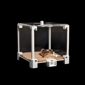FormiLAB medium ant nest with red acrylic nesting chambers