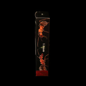 FormiLAB medium ant nest with red acrylic nesting chambers