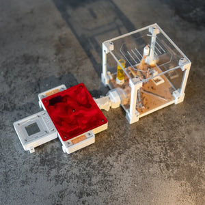 FormiLAB medium ant nest with red acrylic nesting chambers