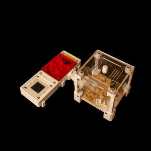 FormiLAB small ant nest with red acrylic chambers and accessories