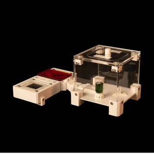 FormiLAB Nano ant nest with white or red chambers