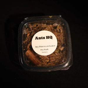Giant isopods in a labelled Ants HQ tub