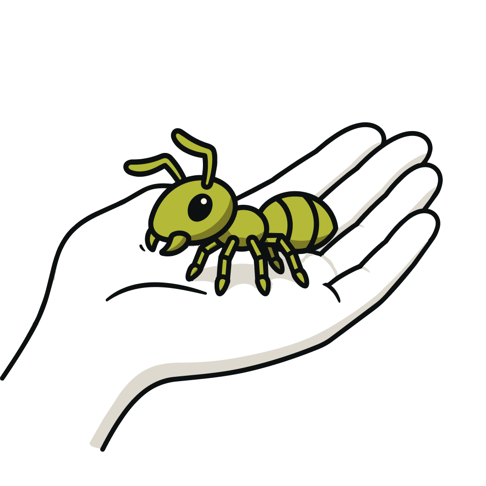 Illustration of selecting an ant colony in a hand