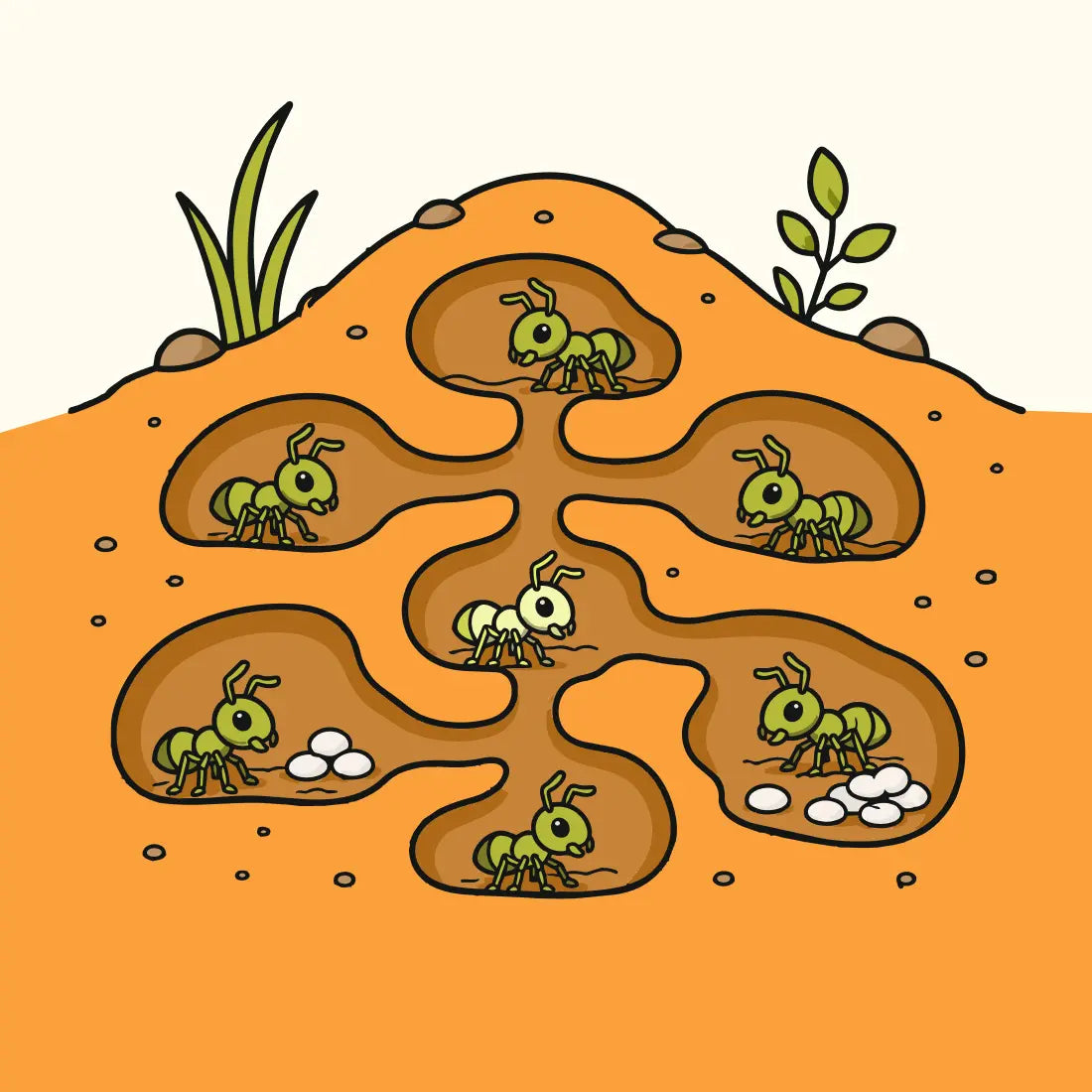 Illustration of ants and chambers in a growing nest