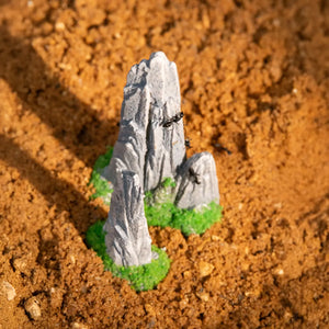 Moss-covered spire rock decoration with ants nearby