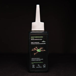 Myrmecocystus viridis nectar food for ants in a bottle
