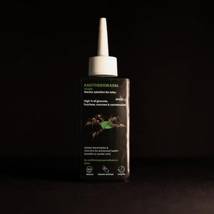 Myrmecocystus viridis nectar food for ants in a bottle