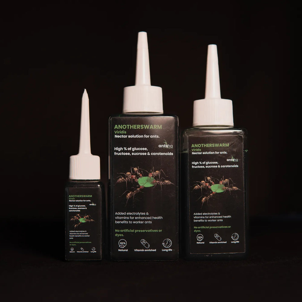 Myrmecocystus viridis nectar food for ants in a bottle